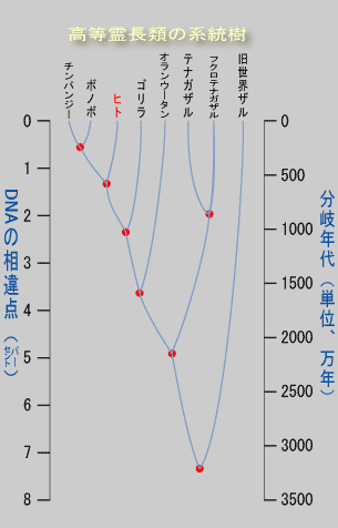 keitoju.gif