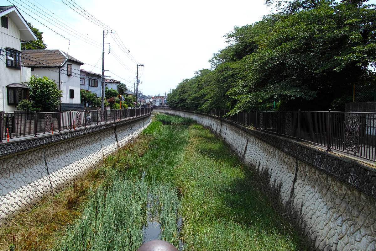 http://y-ok.com/musashino/kokubunji-gaisen/image/160626%EF%BC%88%E4%BB%99%E5%B7%9D-129%EF%BC%89.jpg