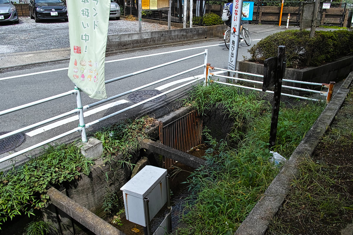 http://y-ok.com/musashino/kokubunji-gaisen/image/nogawa_kokubunji-104.jpg