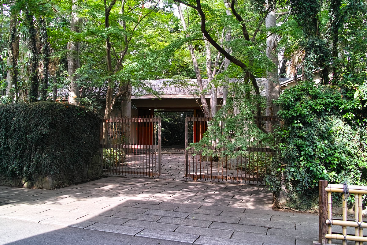 http://y-ok.com/musashino/kokubunji-gaisen/image/to_nogawapark-54.jpg