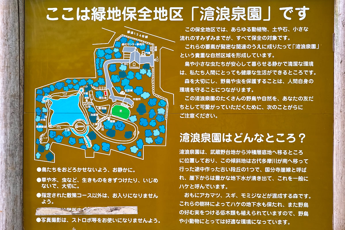http://y-ok.com/musashino/kokubunji-gaisen/image/to_nogawapark-56.jpg