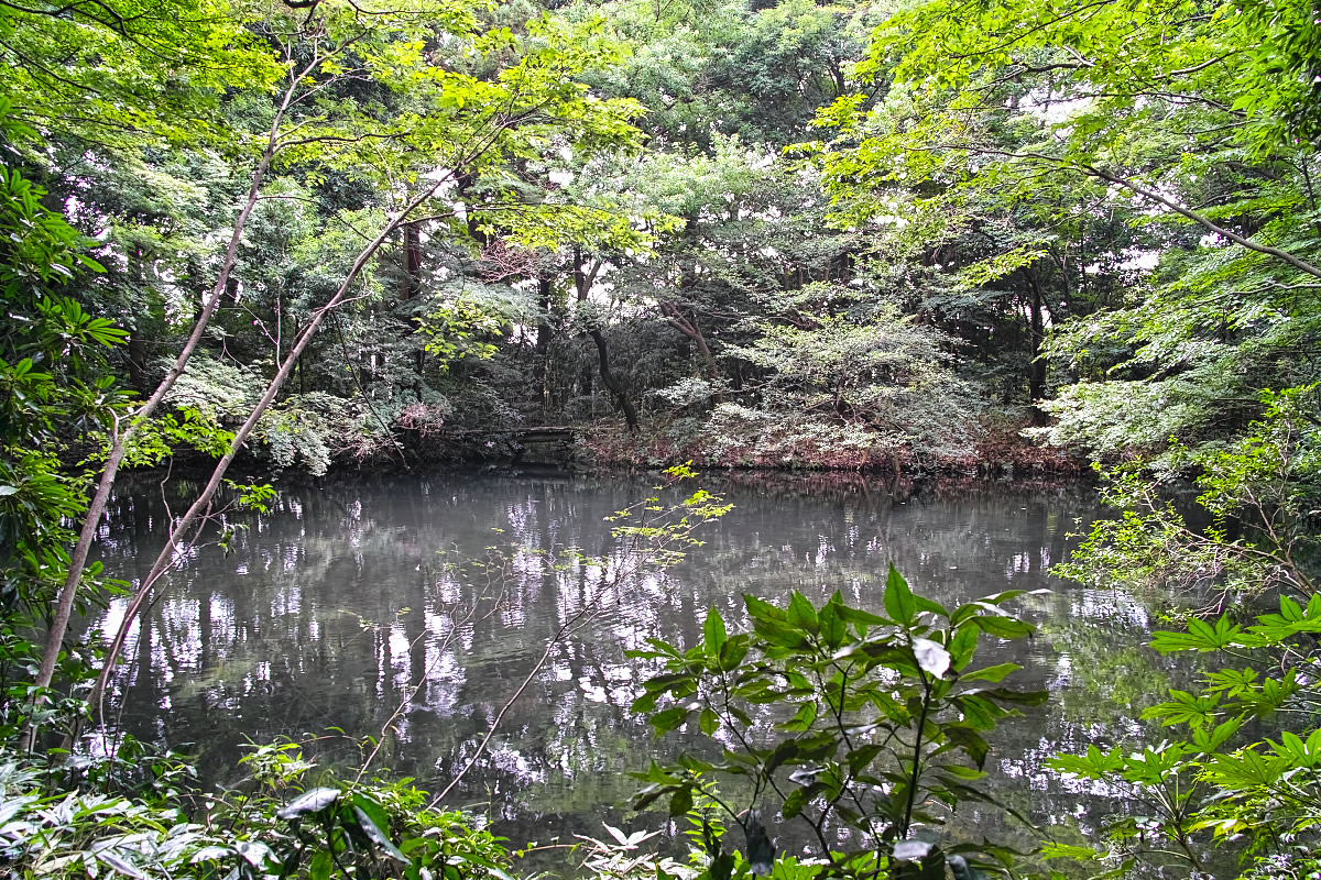 http://y-ok.com/musashino/kokubunji-gaisen/image/to_nogawapark-57.jpg