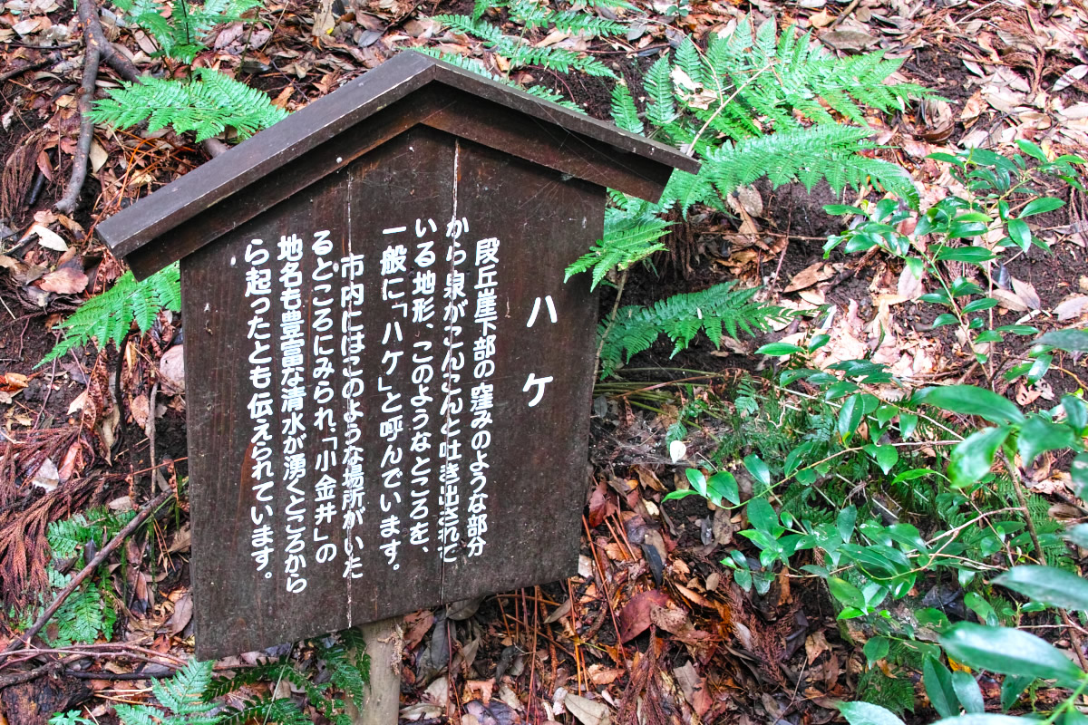 http://y-ok.com/musashino/kokubunji-gaisen/image/to_nogawapark-59.jpg