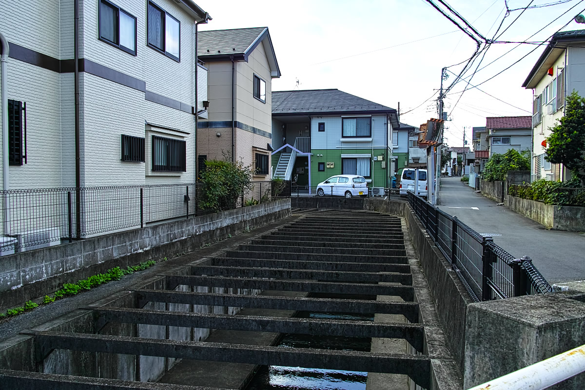 http://y-ok.com/musashino/kokubunji-gaisen/image/to_nogawapark-8.jpg