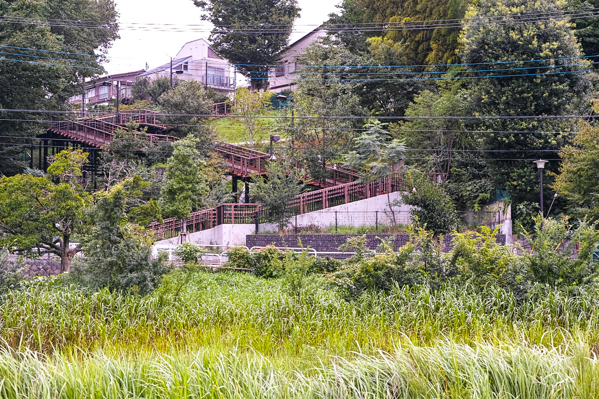 http://y-ok.com/musashino/kokubunji-gaisen/image/to_nogawapark-89.jpg