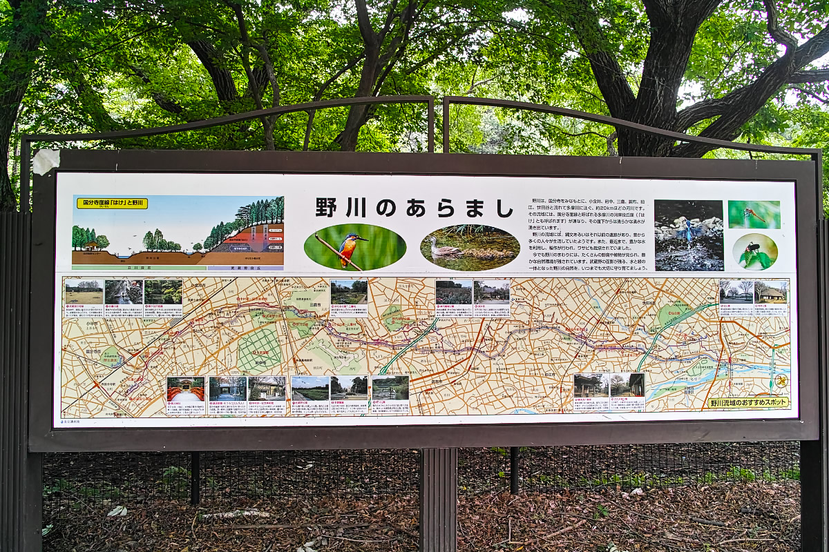 http://y-ok.com/musashino/kokubunji-gaisen/image/to_nogawapark-93.jpg