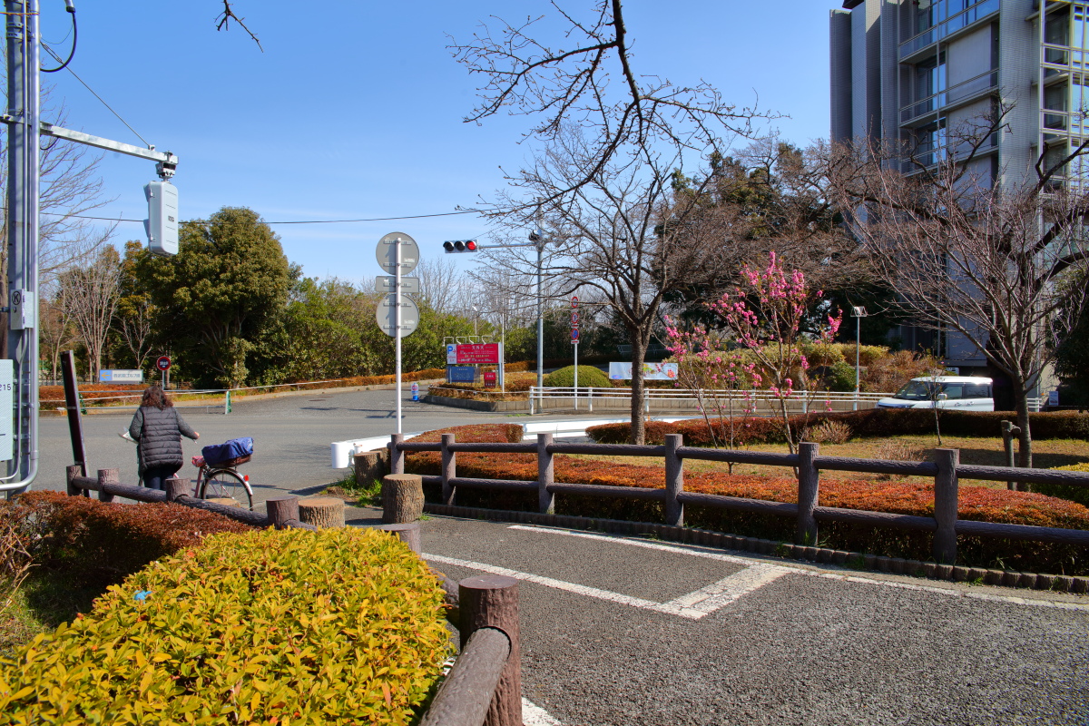 http://y-ok.com/musashino/sayamahills/image/YOKL4081.JPG