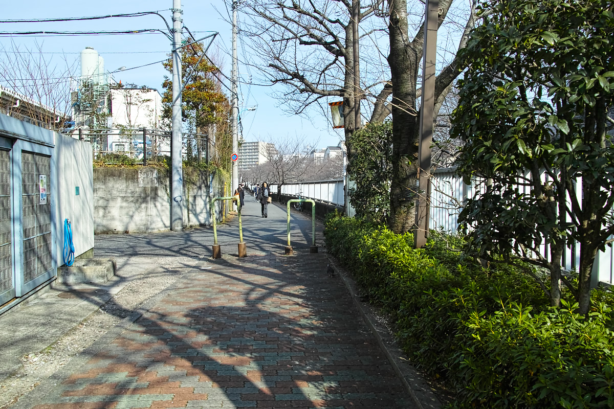 http://y-ok.com/musashino/yamanote_daiti/image/kandagawa-119.jpg