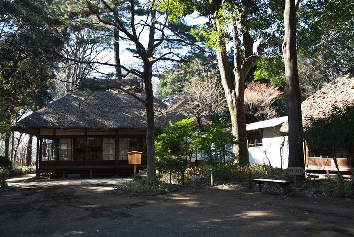 roka_001.JPG