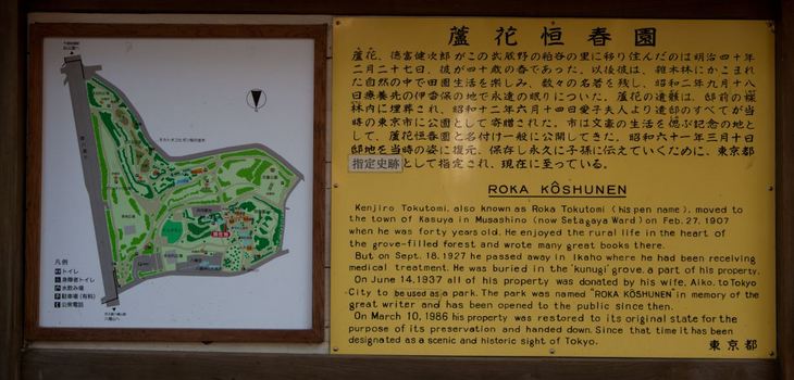 roka_005.JPG